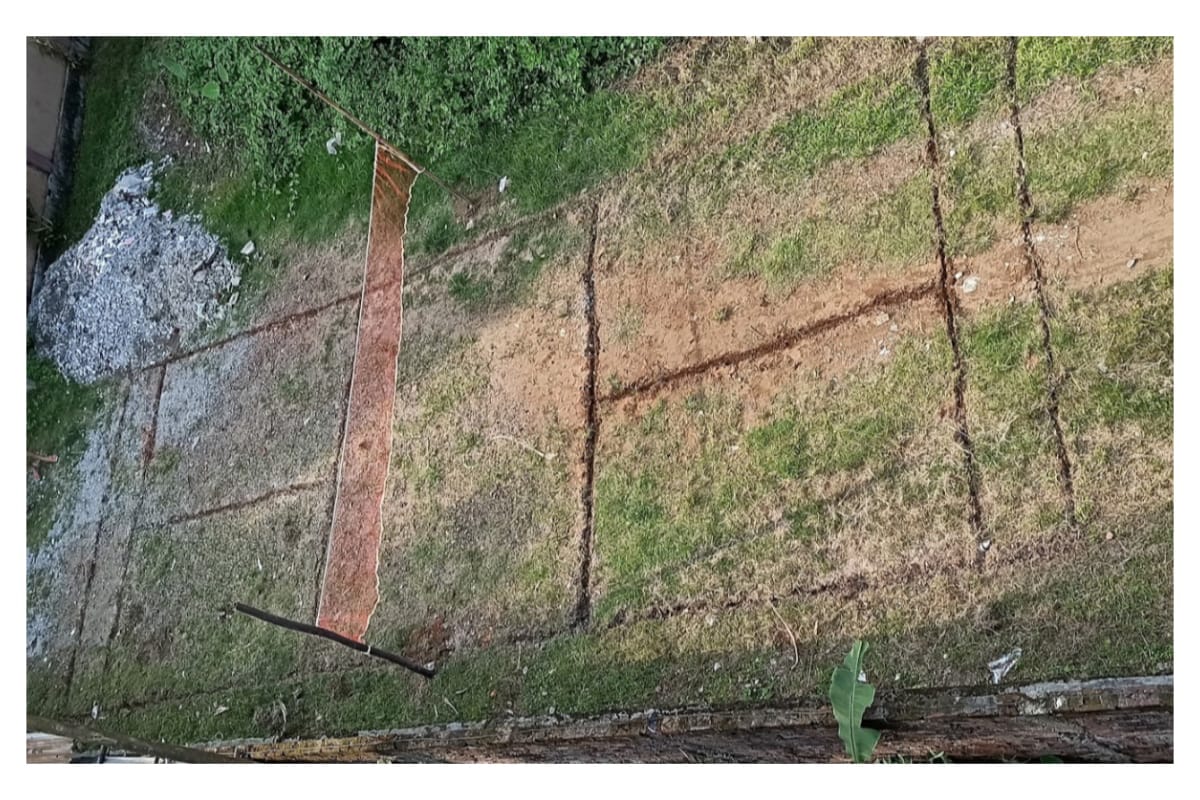 <em>The D-I-Y badminton court. Circa 2020</em>